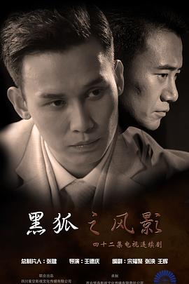 黑狐之风影第26集