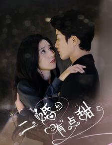 二婚有点甜第51集