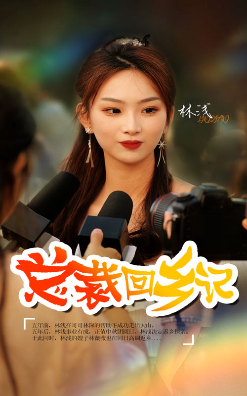总裁回乡记第03集