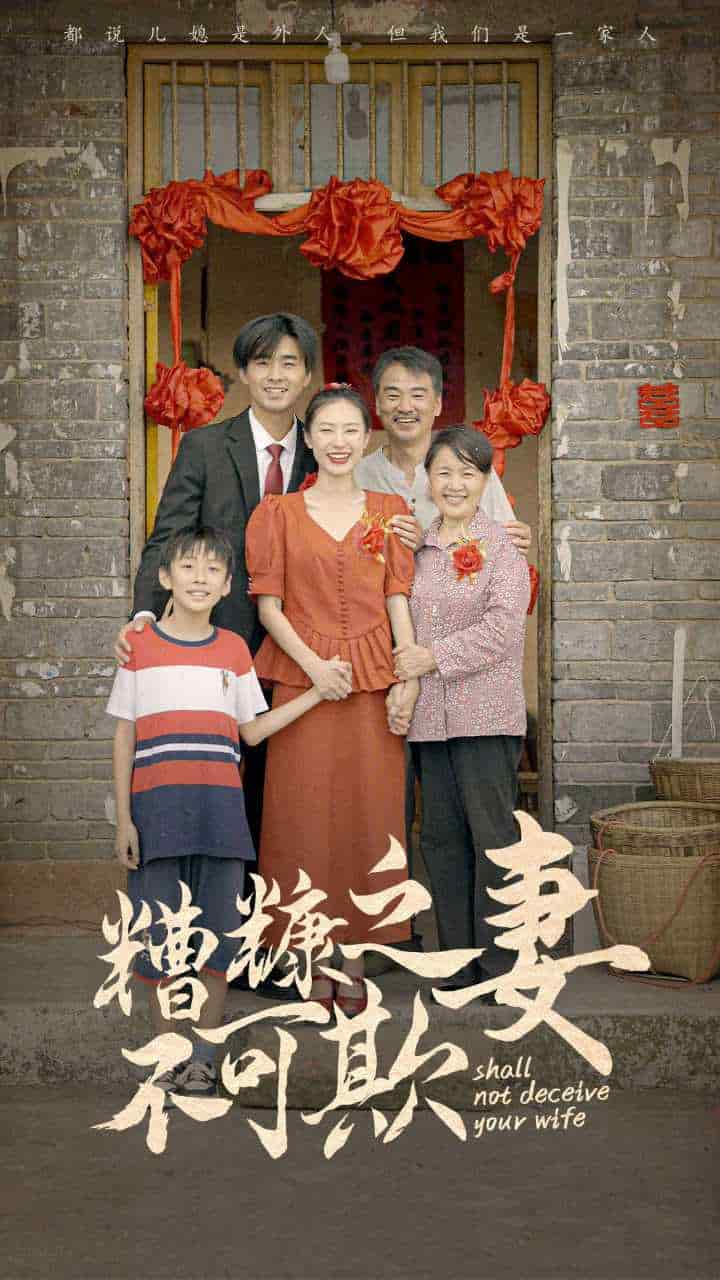 糟糠之妻不可欺第16集
