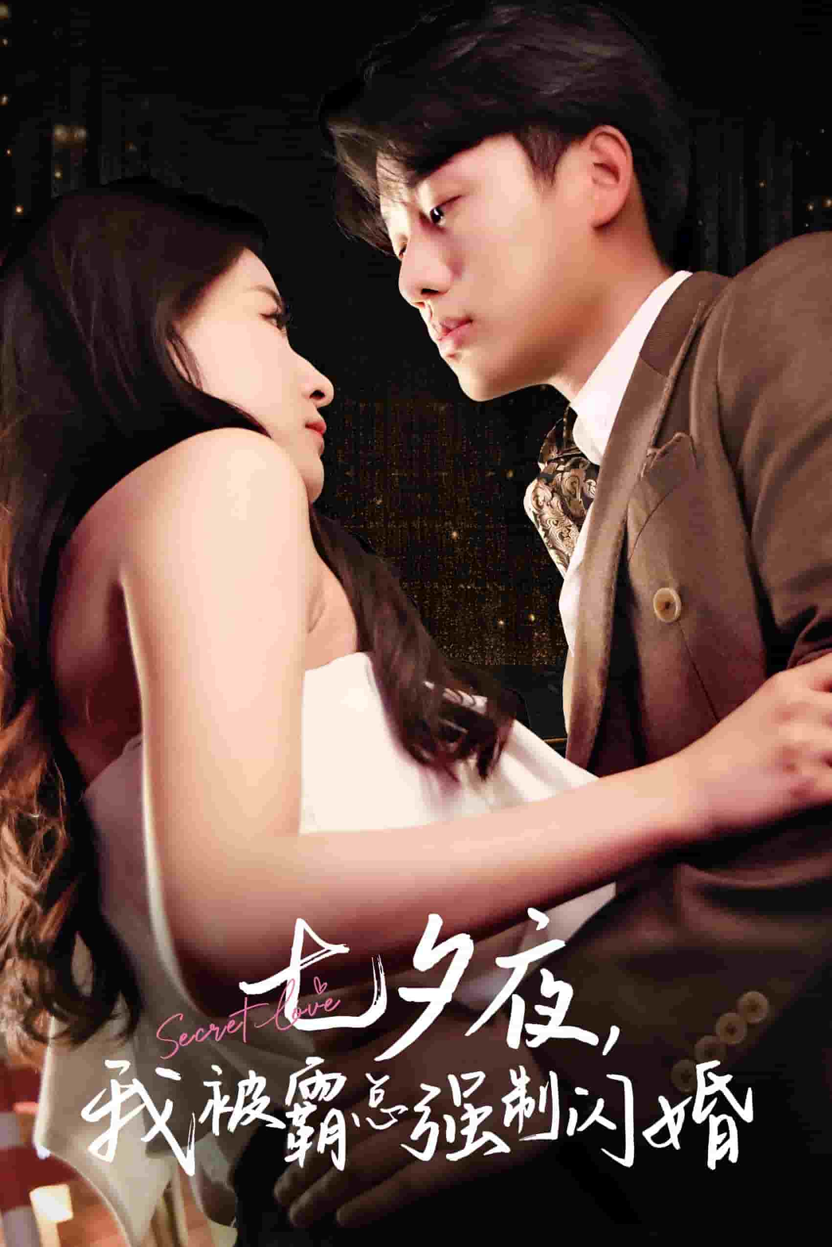 七夕夜我被霸总强制闪婚第63集