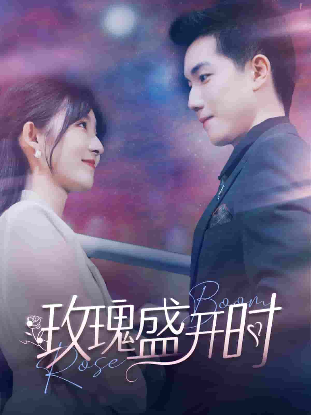 玫瑰盛开时第63集