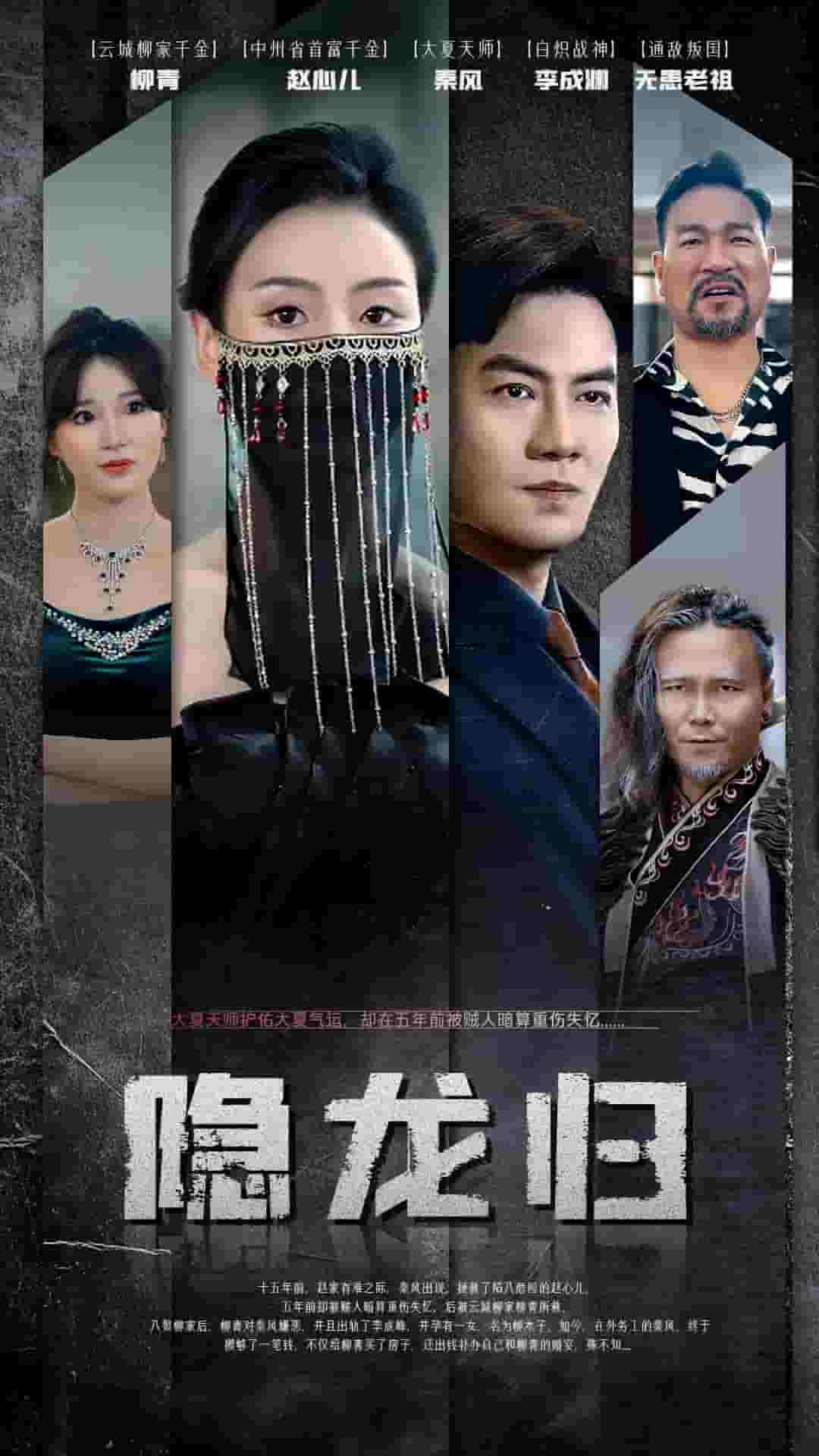 隐龙归第02集