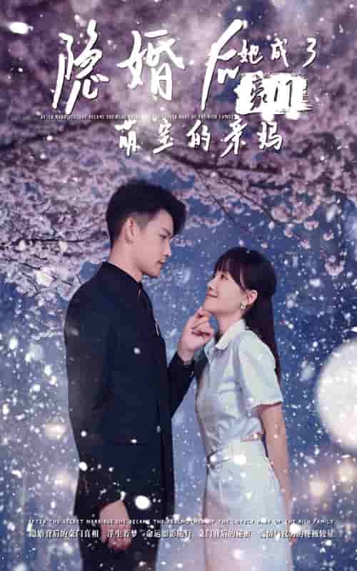 隐婚后，她成了豪门萌宝的亲妈第62集