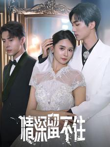 情深留不住第27集