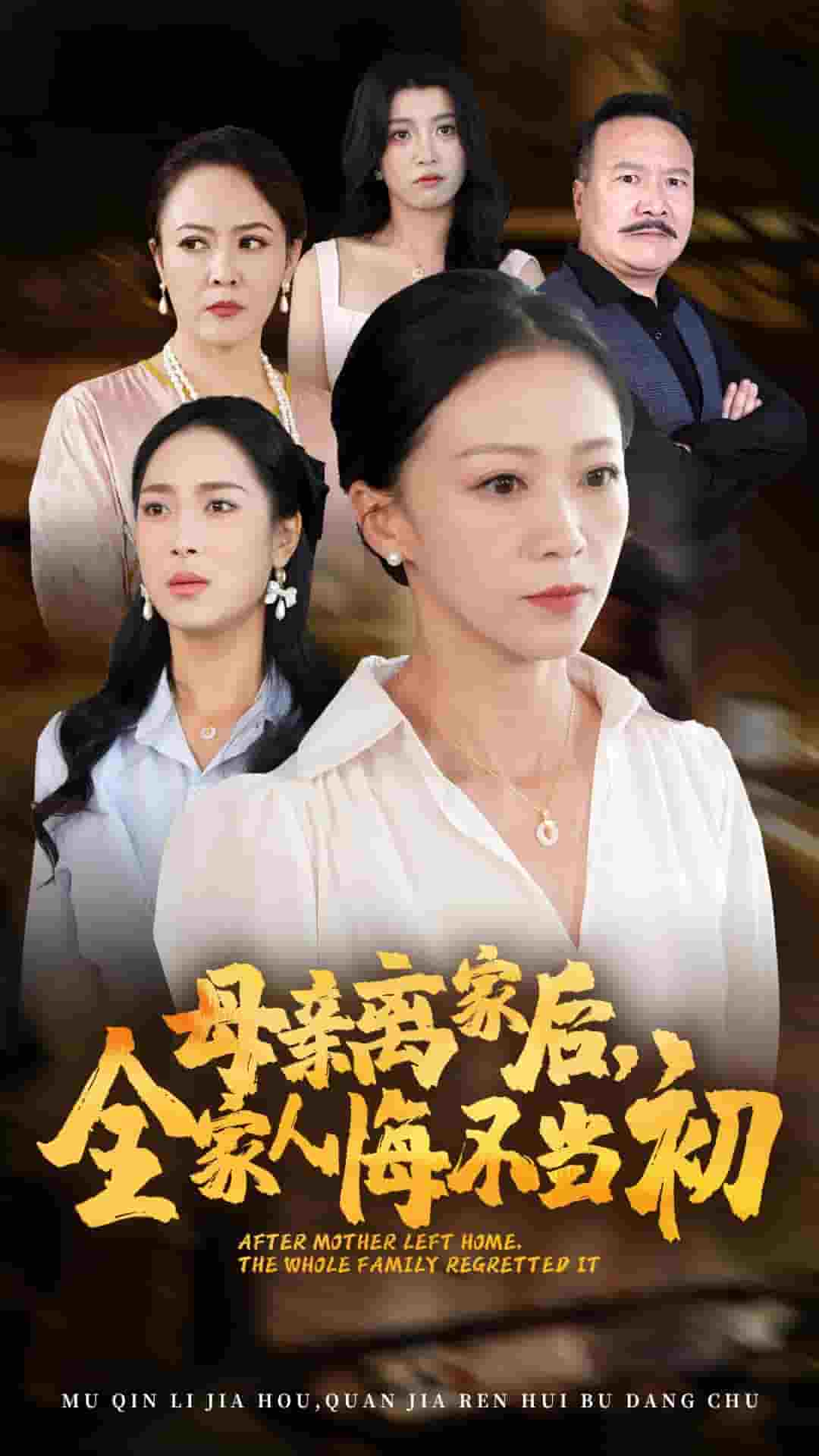母亲离家后，全家人悔不当初第27集