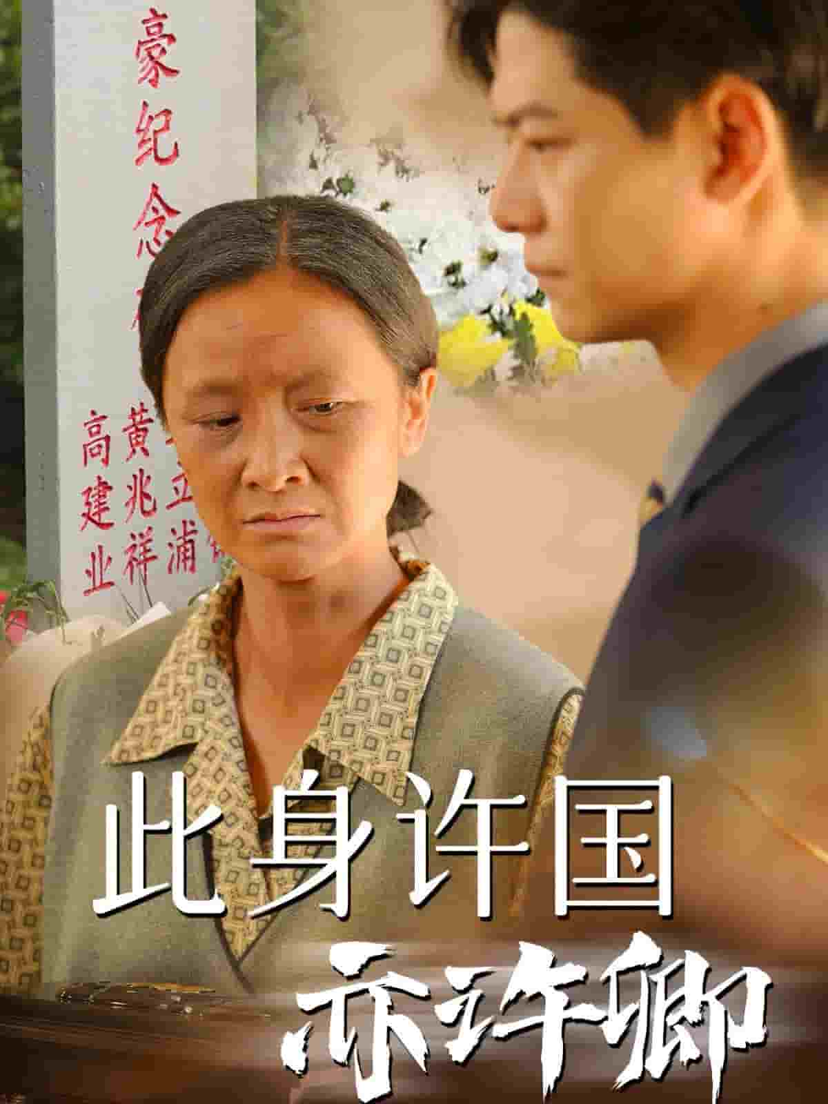 此身许国亦许卿第35集
