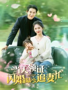当天领证闪婚陆少追妻忙第1集
