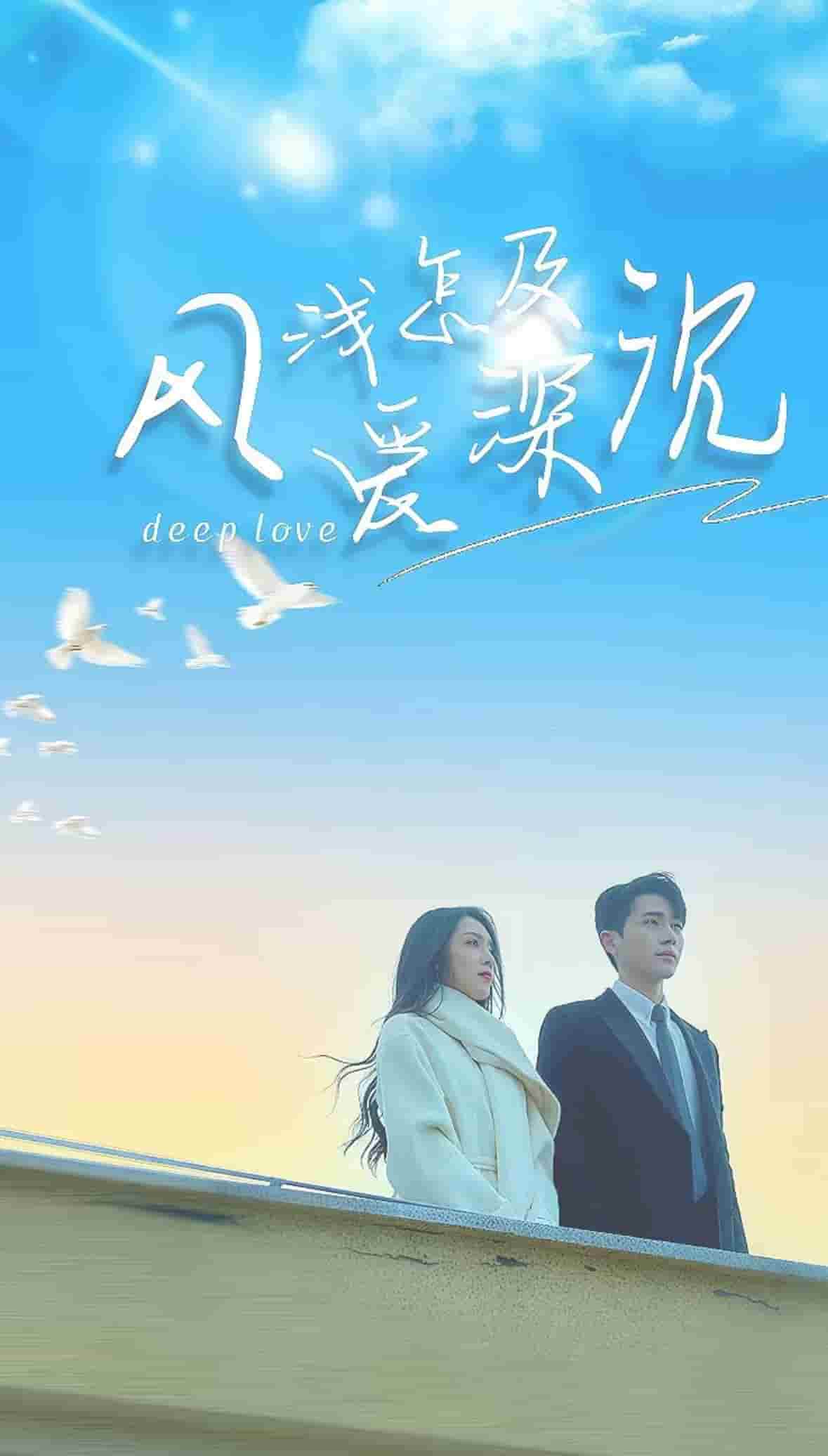 风浅怎及爱深沉第63集