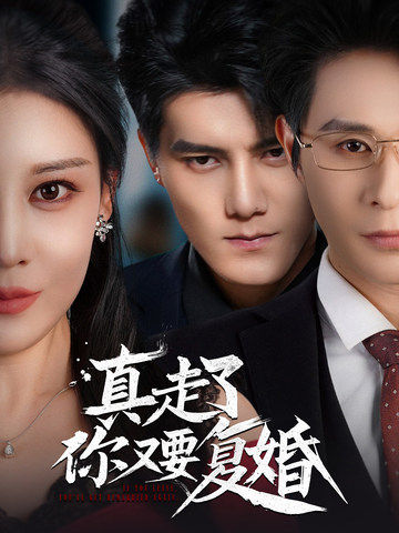 真走了你又要复婚第47集