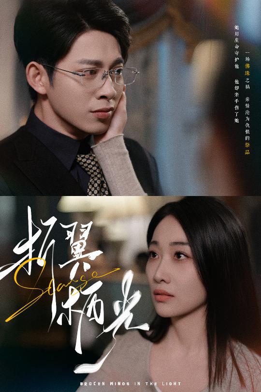 折翼栖光第26集