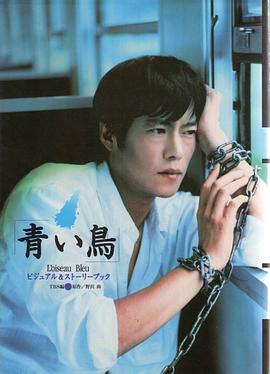 青鸟1997第11集(大结局)