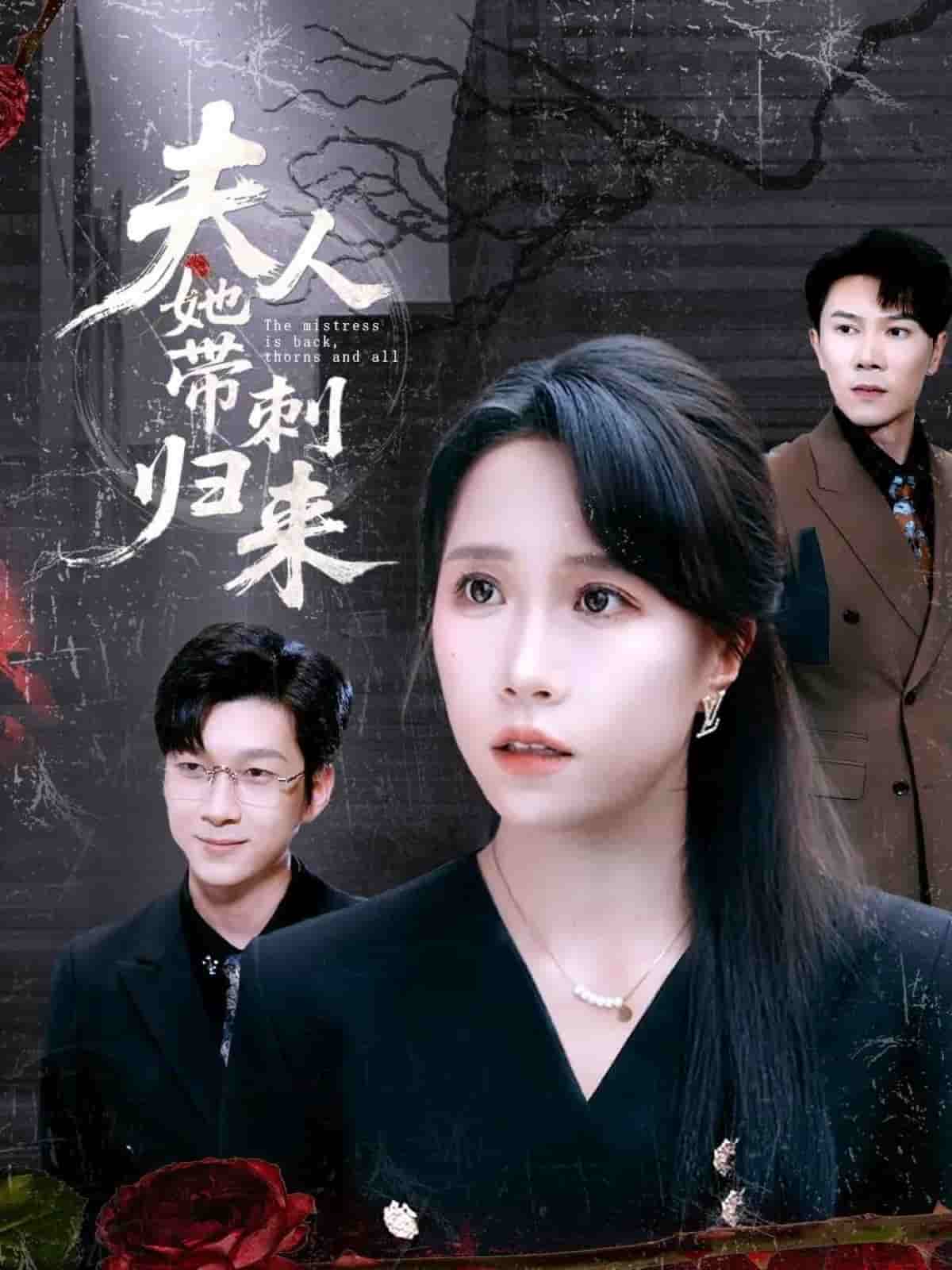 夫人她带刺归来(全集)